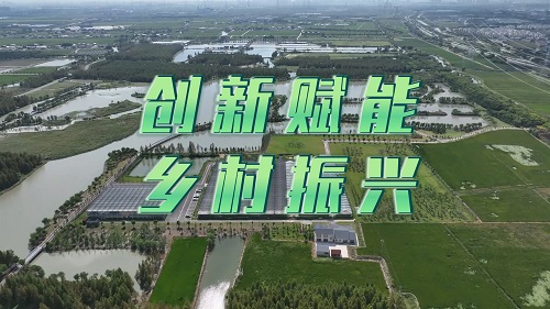 创新赋能 乡村振兴