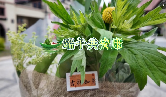 端午共安康