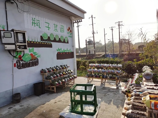 02.jpg