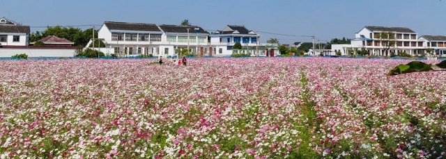 04.jpg
