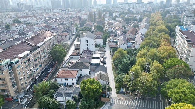 01.jpg