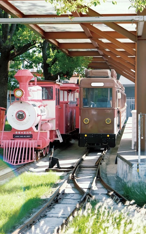 06.jpg