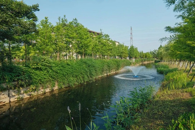 05.jpg