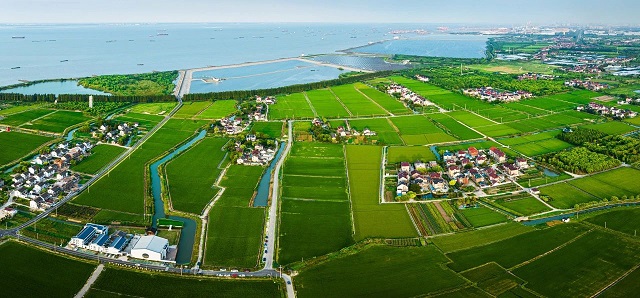 06.jpg