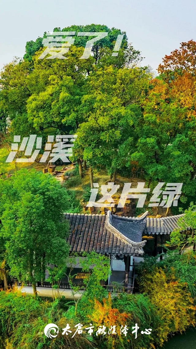 03.jpg