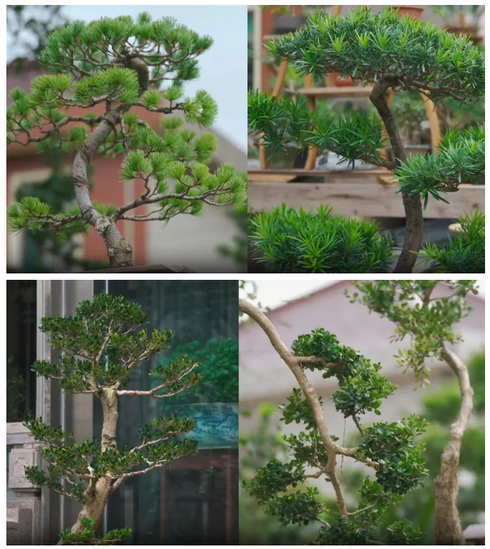 03.png