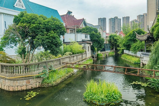 05.jpg