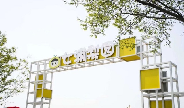 01.jpg