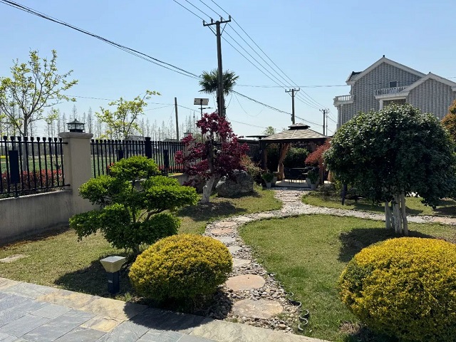 04.jpg