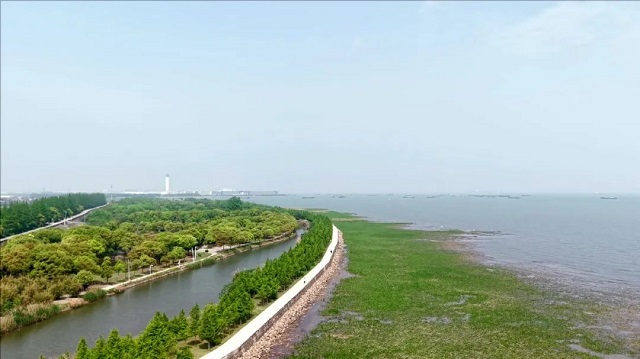 01.jpg