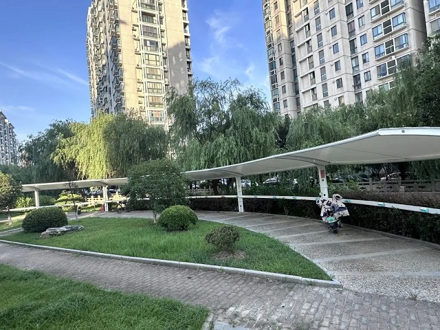 02.jpg