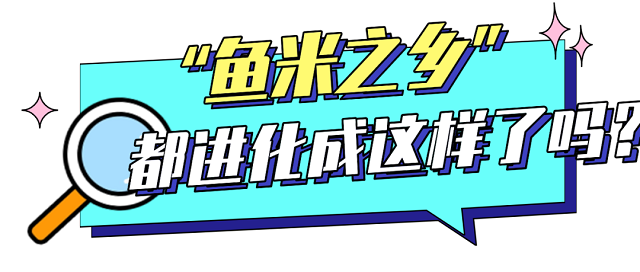 05.png