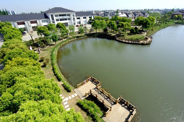 04.jpg