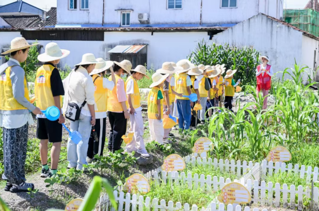 1759045417364.png 02.png