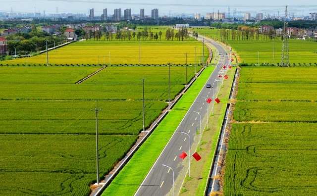 1759130872679.jpg 08.jpg