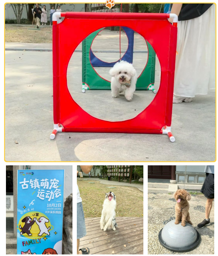 1759993952671.png 05.png