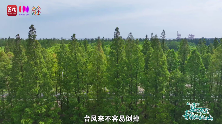 1760340359365.png 02.png