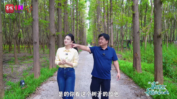 1760340409570.png 03.png