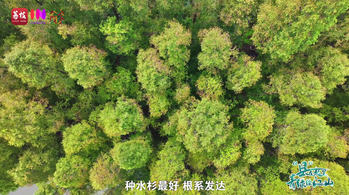 1760340435343.png 04.png