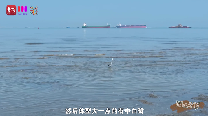 1760340483332.png 05.png