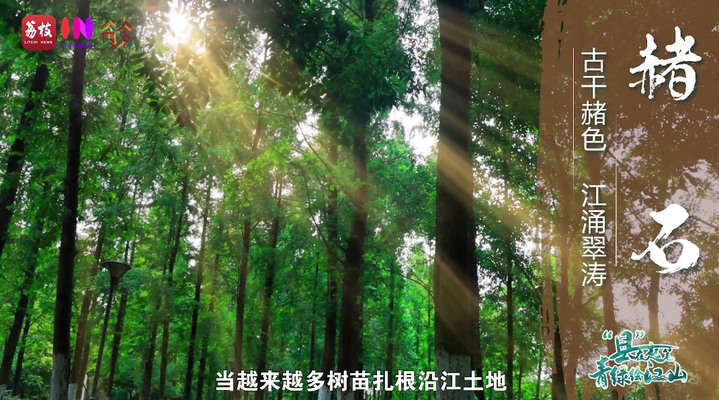 1760340631533.png 11.png