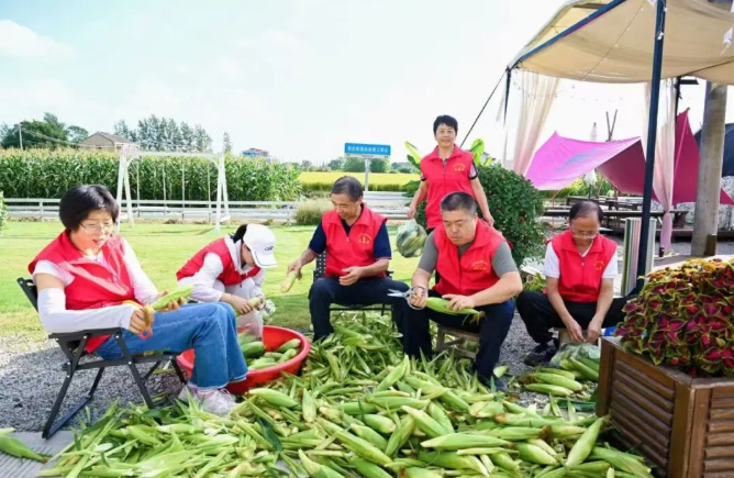 1760340864236.png 03.png