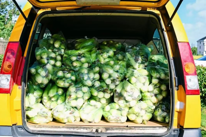 1760340892611.png 04.png