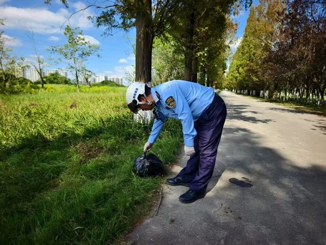 1760512803855.jpg 06.jpg