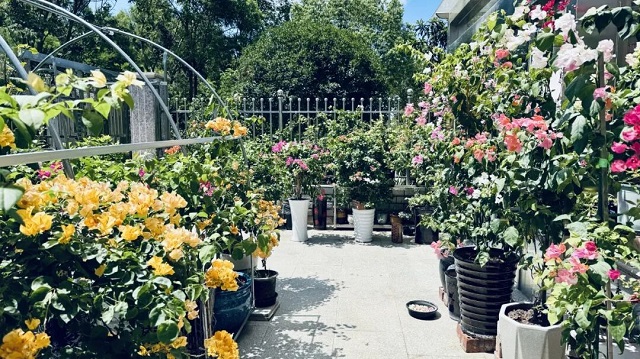 1760513117919.jpg 03.jpg