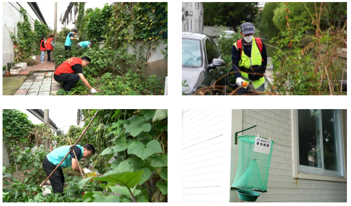 1760944710744.png 02.png