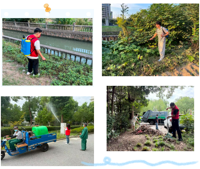 1761032023949.png 12.png