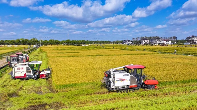 1761205407182.jpg 05.jpg