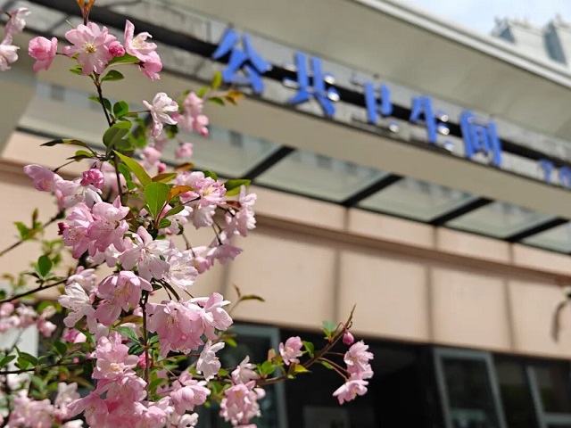 1761549566734.jpg 04.jpg