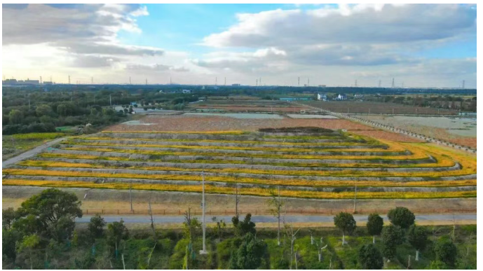 1762241121083.png 12.png