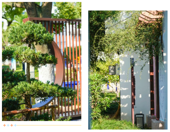 1762241432089.png 02.png