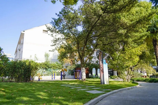 1762241501170.jpg 04.jpg