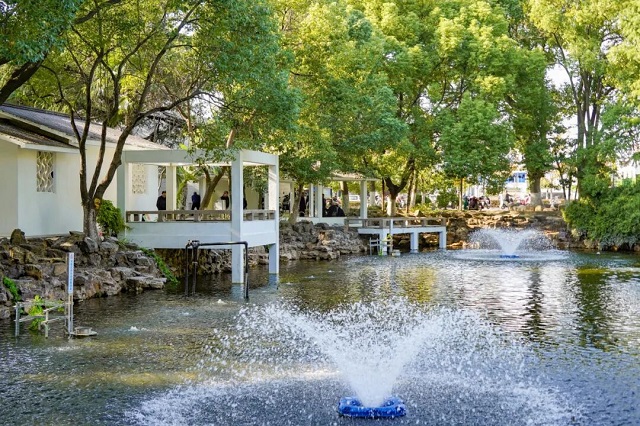 1762241733502.jpg 10.jpg