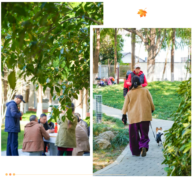 1762241807812.png 13.png