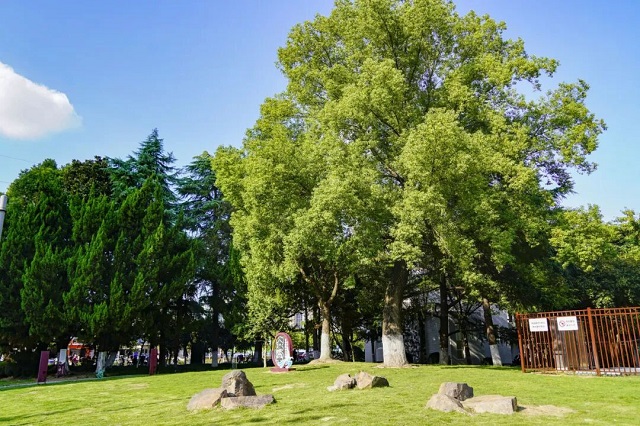 1762241900077.jpg 16.jpg