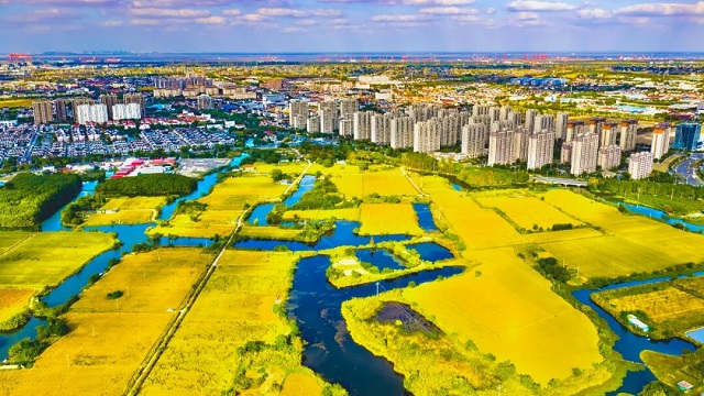 1762412795296.jpg 02.jpg