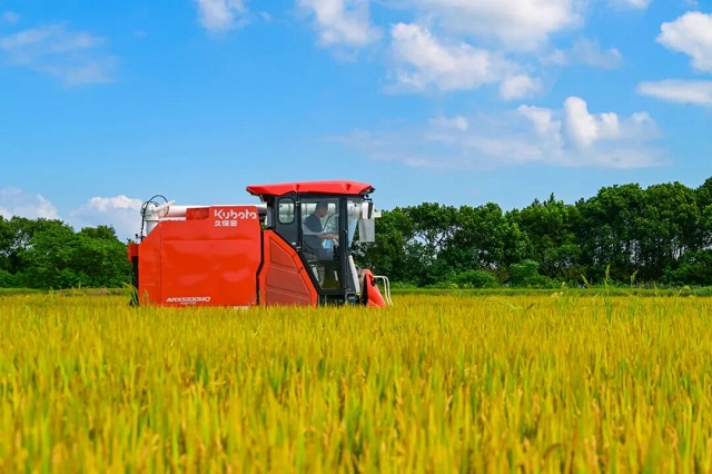 1762412890267.jpg 03.jpg