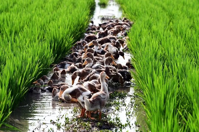 1762412897904.jpg 04.jpg