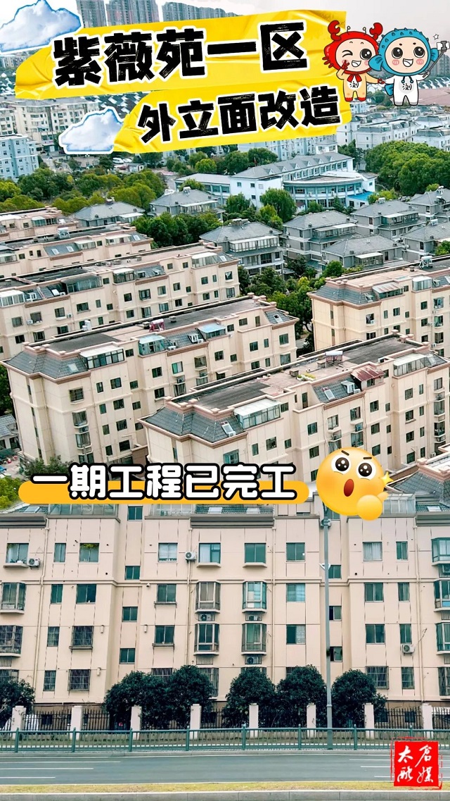 1762413728915.jpg 01.jpg