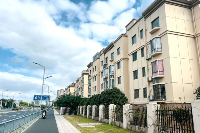 1762413892452.jpg 05.jpg