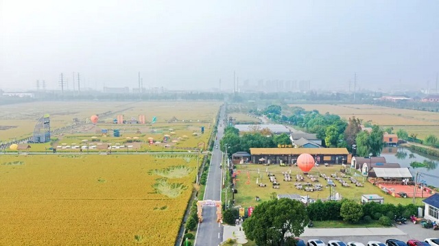 1762499157408.jpg 01.jpg