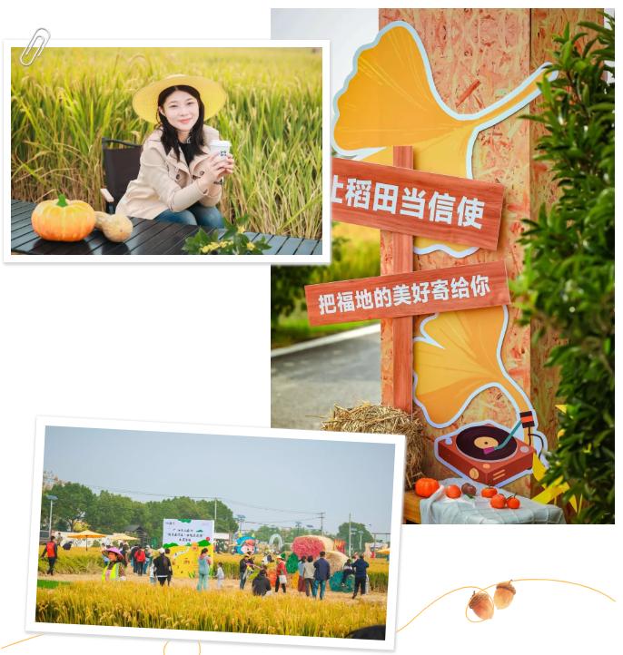 1762499251775.png 03.png