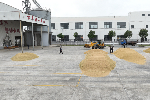 1762499702869.png 02.png