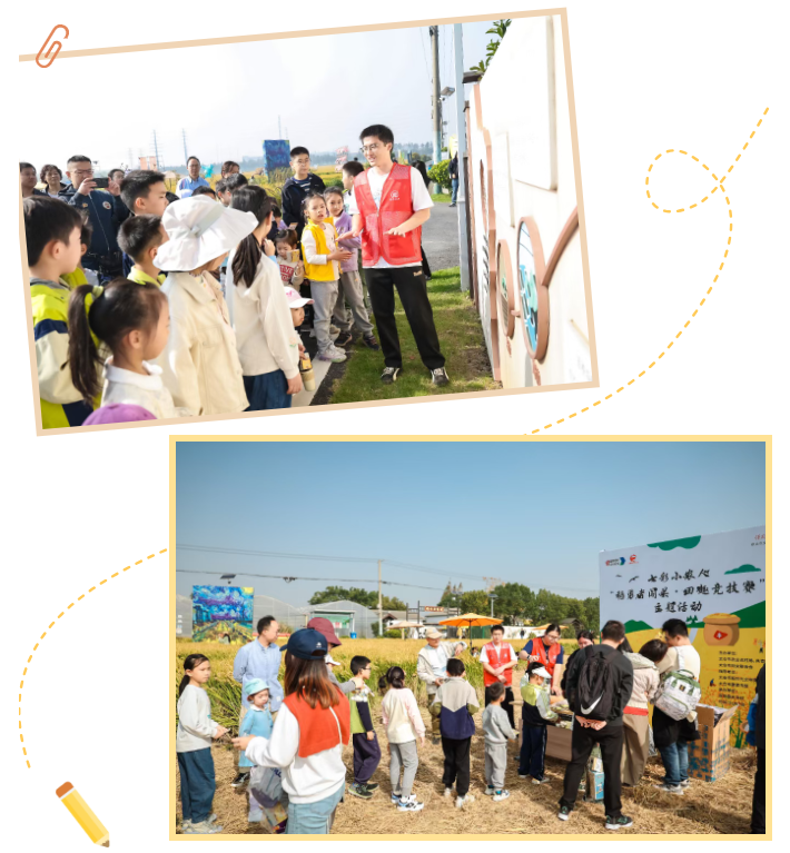 1763019374922.png 02.png