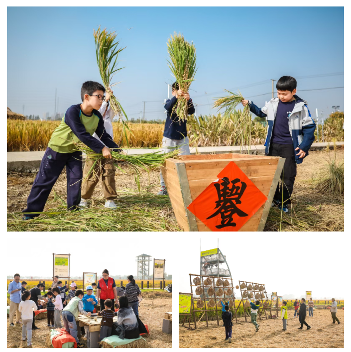 1763019413422.png 03.png