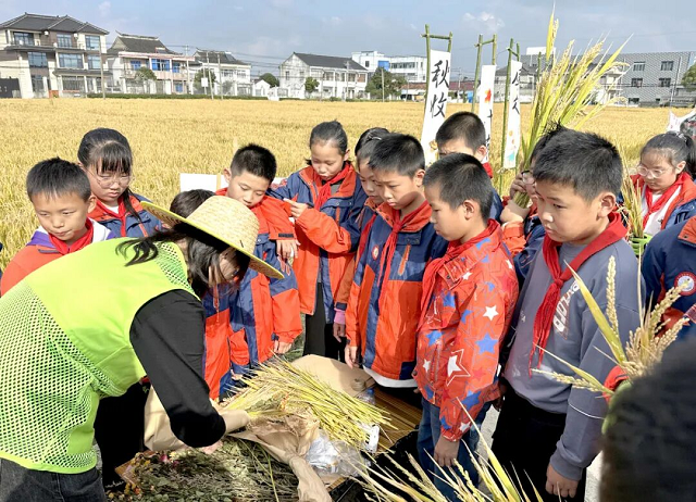 1763019741847.png 09.png